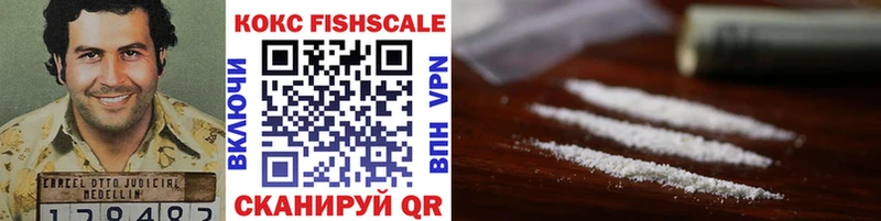 где можно купить   Коммунар  COCAIN FishScale 
