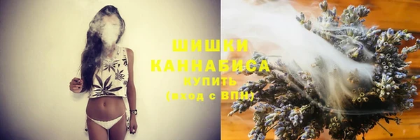 МДПВ Богданович