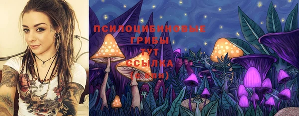 герыч Богородск